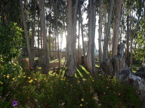 Apartamento Costa Algarrobo