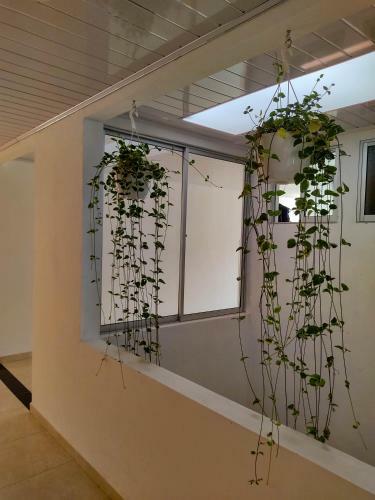 Hotel Central Fusa