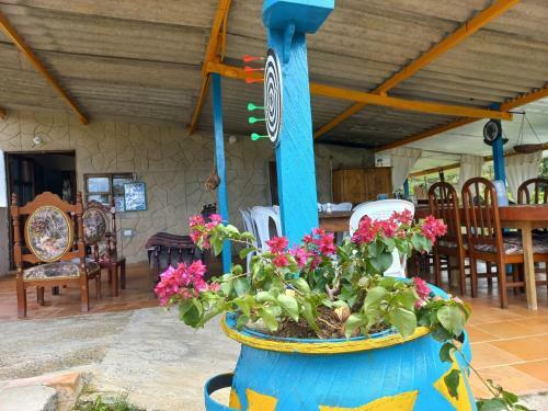 Baras'h Campestre