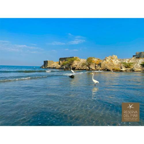 Apartamento Reserva Del Mar 810