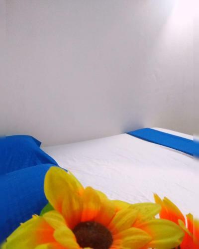 Caba�as Midas Rodadero Alojamiento Completo