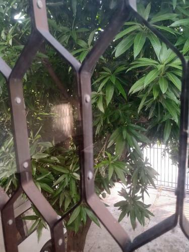 Apartamento Santa Marta Rodadero, Edificio El Lago