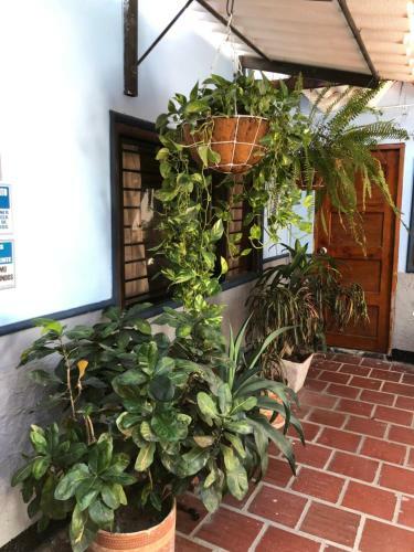Casa Salinas