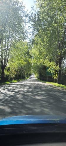 Caba�as Isla Para�so, Chonchi-chilo�