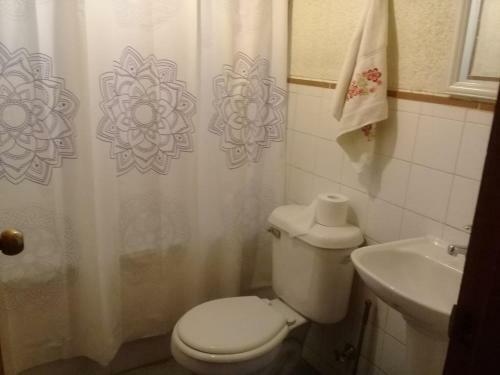 Caba�a En Villarrica