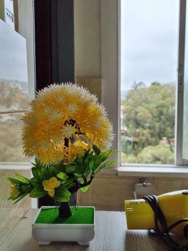 Hostal Meraki Hostel - Cerro Alegre - Valpara�so