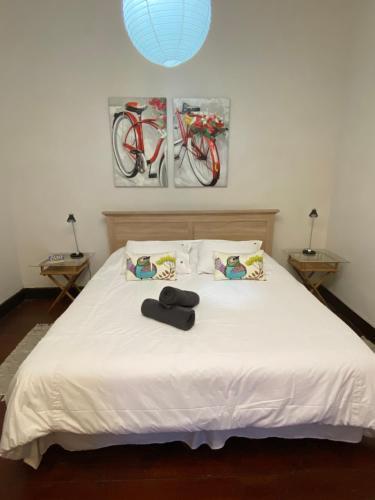 Hostal Patiperra Hostel