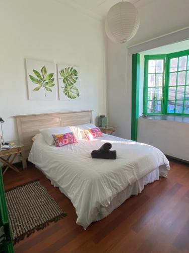 Hostal Patiperra Hostel