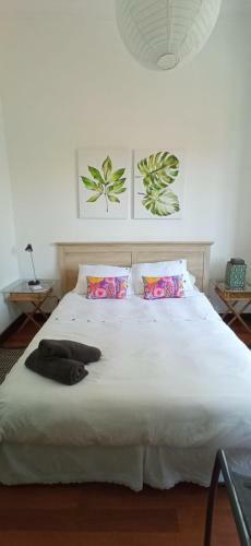 Hostal Patiperra Hostel