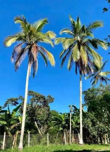 Lodge Oasis Campestre