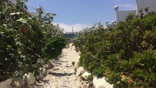 Lodge Caba�as Juan Gaviota