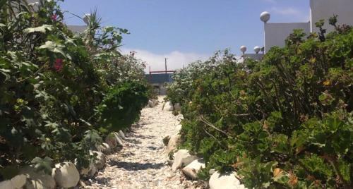 Lodge Caba�as Juan Gaviota