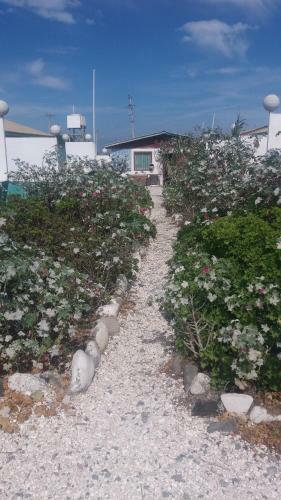 Lodge Caba�as Juan Gaviota
