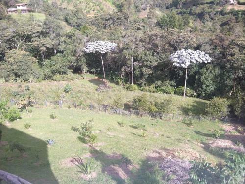 Villa La Clara Campestre - Refugio de La Mariposa Azul - Heleanor