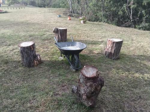 Glamping Las 4 Estaciones