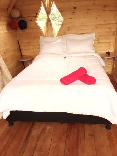 Glamping Las 4 Estaciones