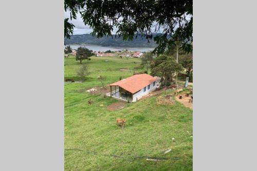Finca San Pedro