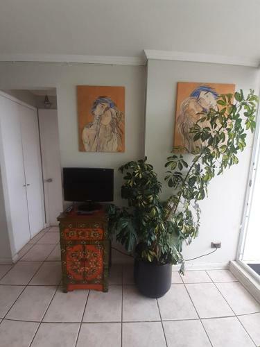 Apartamento Departamento En Re�aca