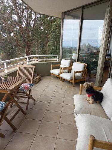 Apartamento Depto Laguna Sausalito