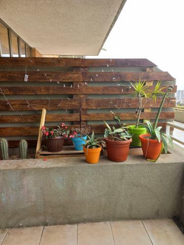 Apartamento Depto Laguna Sausalito
