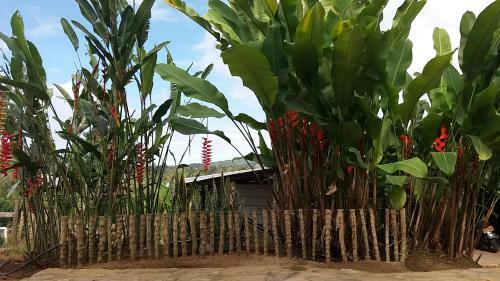 El Recreo Hogar Campesino