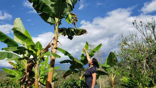 El Recreo Hogar Campesino