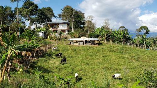 El Recreo Hogar Campesino