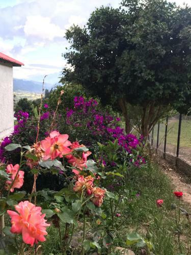 Villa Estancia Los Pinos