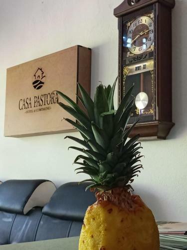 Hostal Casa Pastora Hospedaje