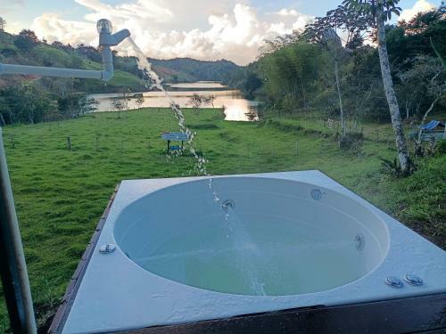 Hotel, Selva Negra