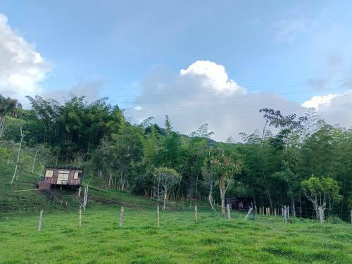 Hotel, Selva Negra