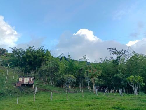 Hotel, Selva Negra