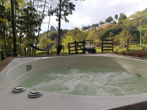 Hotel, Selva Negra