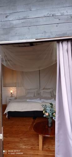 Hotel, Selva Negra