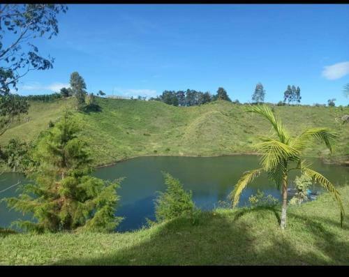 Caba�as Con Represa Y Glamping Pe�ol Y Guatap� - Caba�a 1