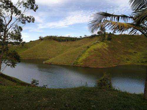 Caba�as Con Represa Y Glamping Pe�ol Y Guatap� - Caba�a 1