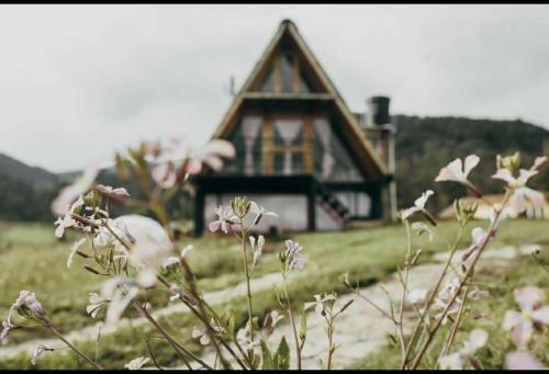 Lodge Glamping Y Caba�as En Neusa Cundinamarca