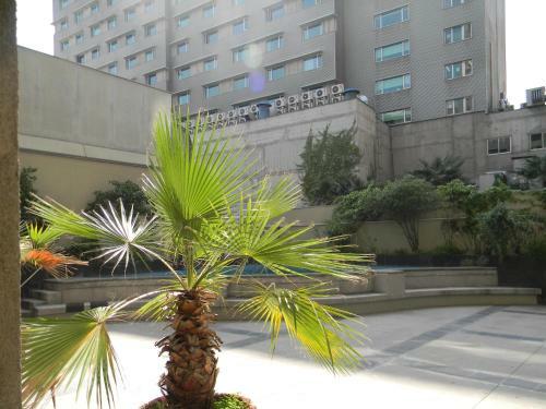 Apartamento B&m Alquiler Diario