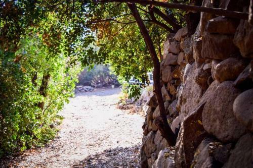 Casa Bosque R�o