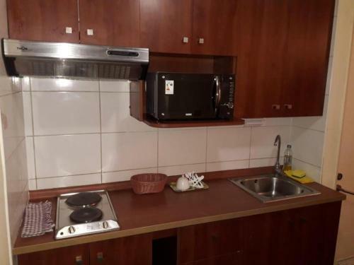 Vip Apart Santiago