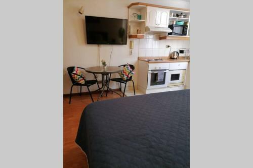 Apartamento Estudio Paseo Bulnes