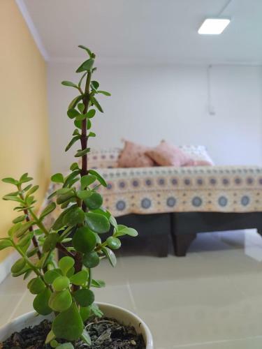 Casona Providencia