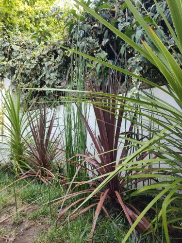 Casona Providencia