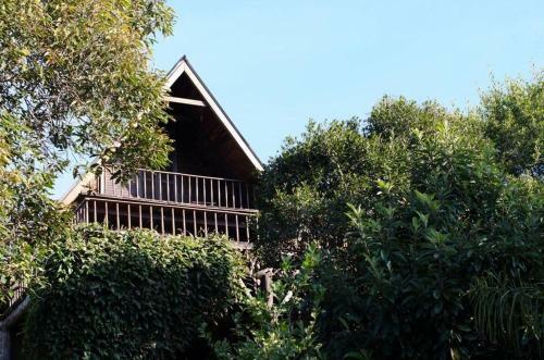 Cabana Na Montanha