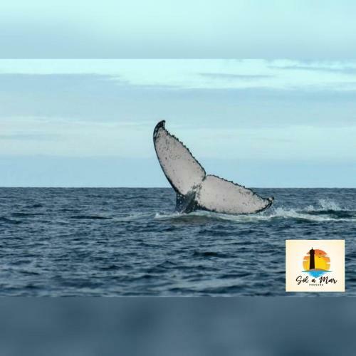Hostal Abrolhos Sol A Mar