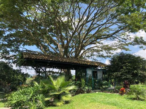 Hotel Finca Brasilia