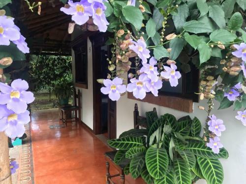 Hotel Finca Brasilia