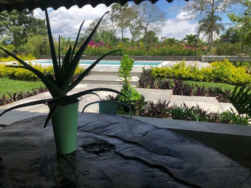 Hotel Finca Brasilia