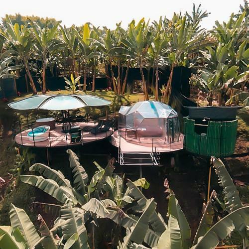 Cham� Glamping