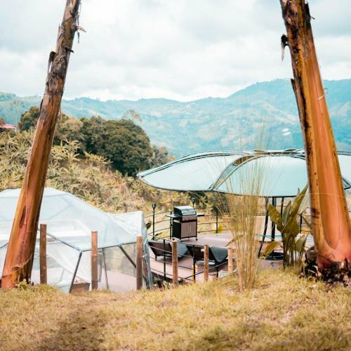 Cham� Glamping